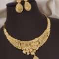 Anushka Premium Forming Necklace Set